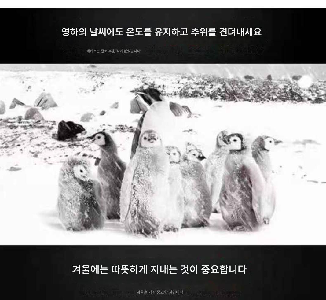 4842eaf482b8010398795fd5f281b496_1760552055_1437.jpeg 4842eaf482b8010398795fd5f281b496_1760552055_1437.jpeg