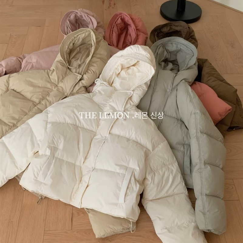 4842eaf482b8010398795fd5f281b496_1760554223_5967.jpg 4842eaf482b8010398795fd5f281b496_1760554223_5967.jpg