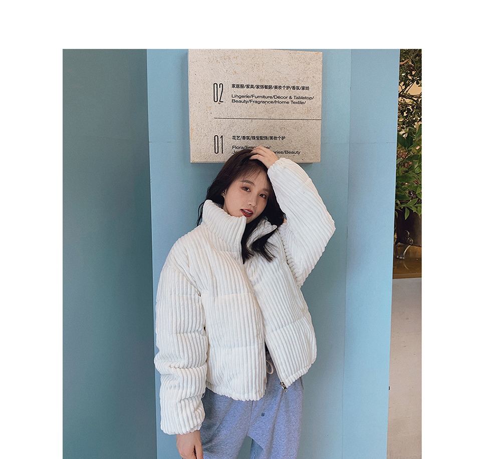 d2b83dfaa2901c63d1cc5e228fbbe142_1764422508_6618.jpg d2b83dfaa2901c63d1cc5e228fbbe142_1764422508_6618.jpg